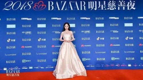 芭莎明星慈善盛典,芭莎明星慈善盛典温情回顾