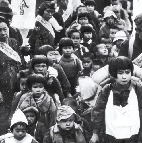 日本遗孤数量,探寻历史记忆中的离散人生