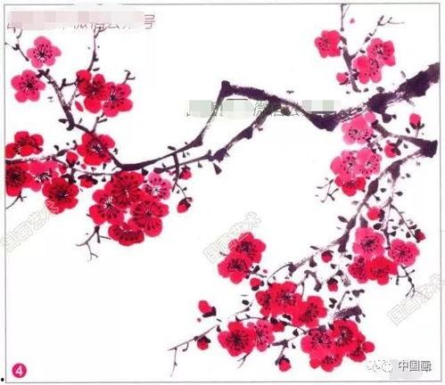 画梅花视频,梅花视频中的古典韵味与艺术魅力
