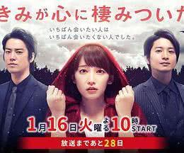 吉冈 在线播放,揭秘在线播放背后的精彩故事