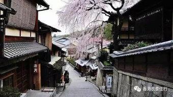 日本京都文章,穿越千年时光的日本文化之旅