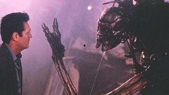 异种西尔在线播放,跨越物种的奇幻冒险之旅