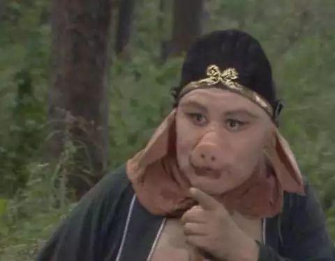 西游记猪八戒视频,西游记中的搞笑与智慧