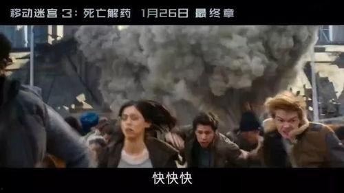 死亡解药电影免费观看,免费观影，揭秘生死之谜