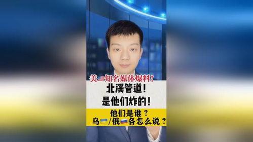 专访北溪爆料者视频大全,专访爆料者视频背后的真相全解析