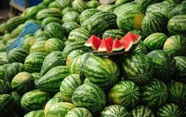 圣殇西瓜在线播放,在线观看，感受情感与命运的交织