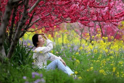 为寻花而来免费观看,免费畅享春日花海盛宴