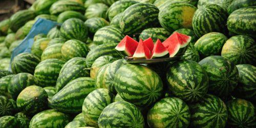 西瓜地址AV,西瓜地址AV，带你领略激情四溢的视觉盛宴