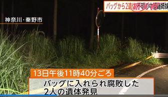 日本遇害失联,揭开背后真相与反思社会安全”