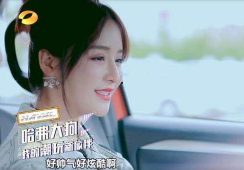 明星学员感想,明星学员倾情分享学习心得